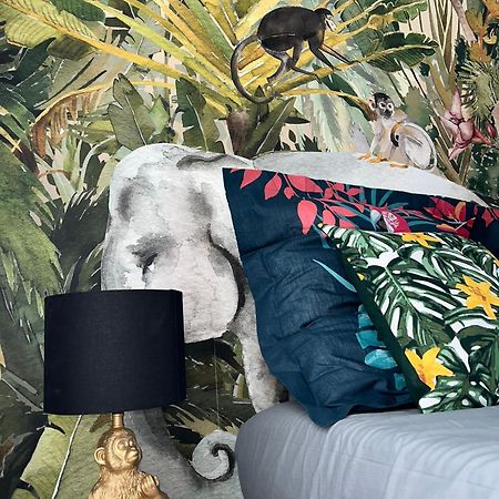 Studio Tropical , Vierzon , Proche Gare , Tout Confort エクステリア 写真