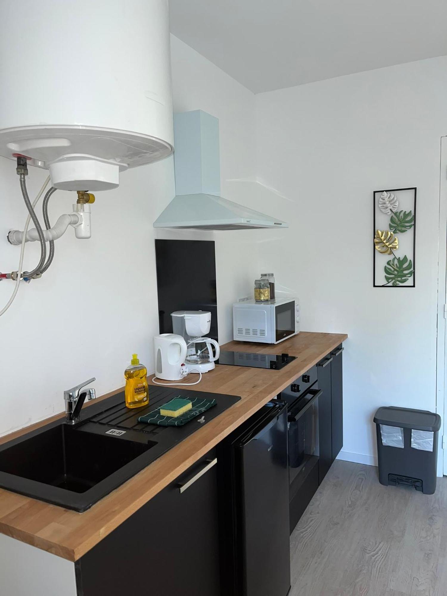 Studio Tropical , Vierzon , Proche Gare , Tout Confort エクステリア 写真