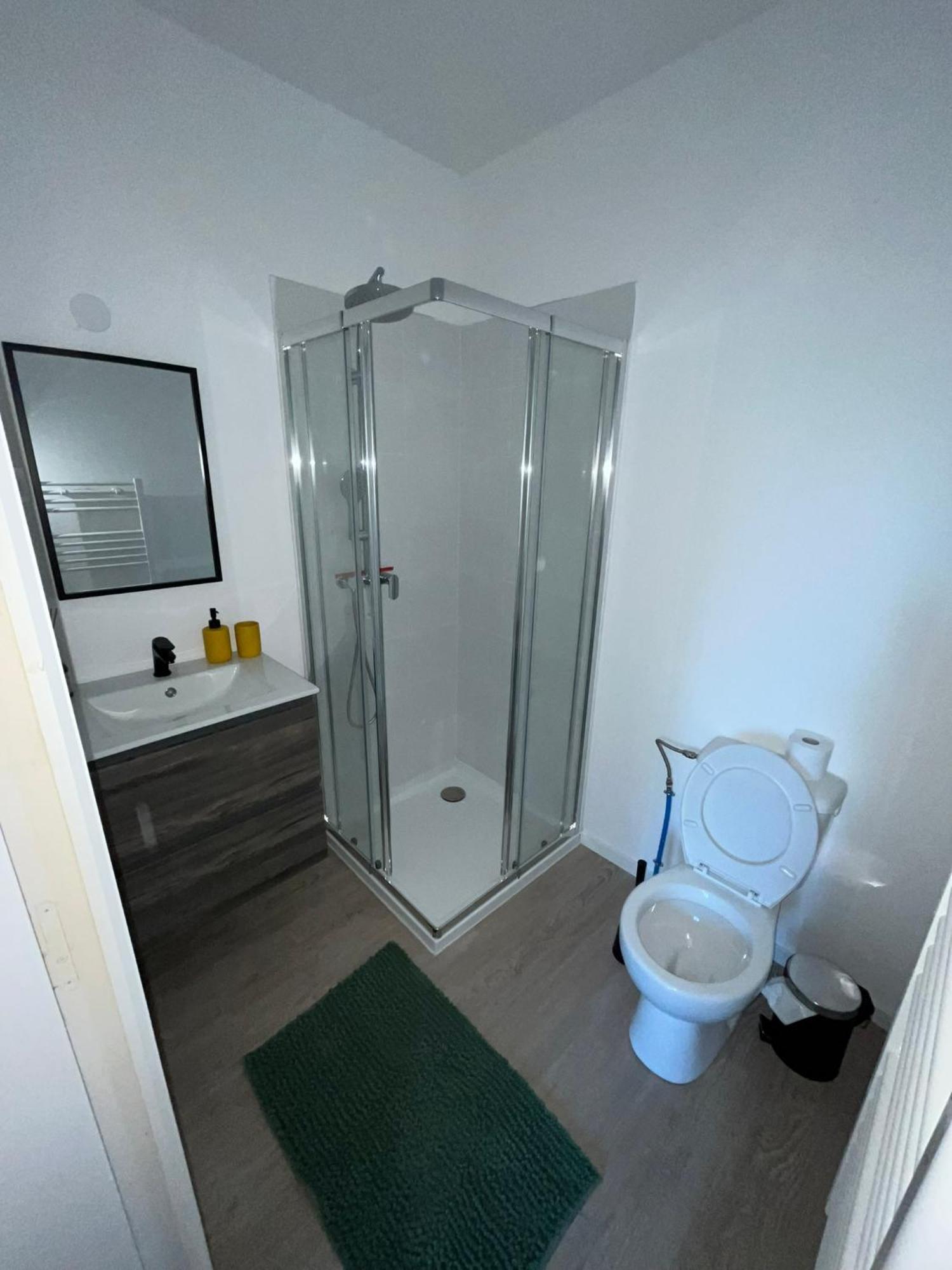 Studio Tropical , Vierzon , Proche Gare , Tout Confort エクステリア 写真