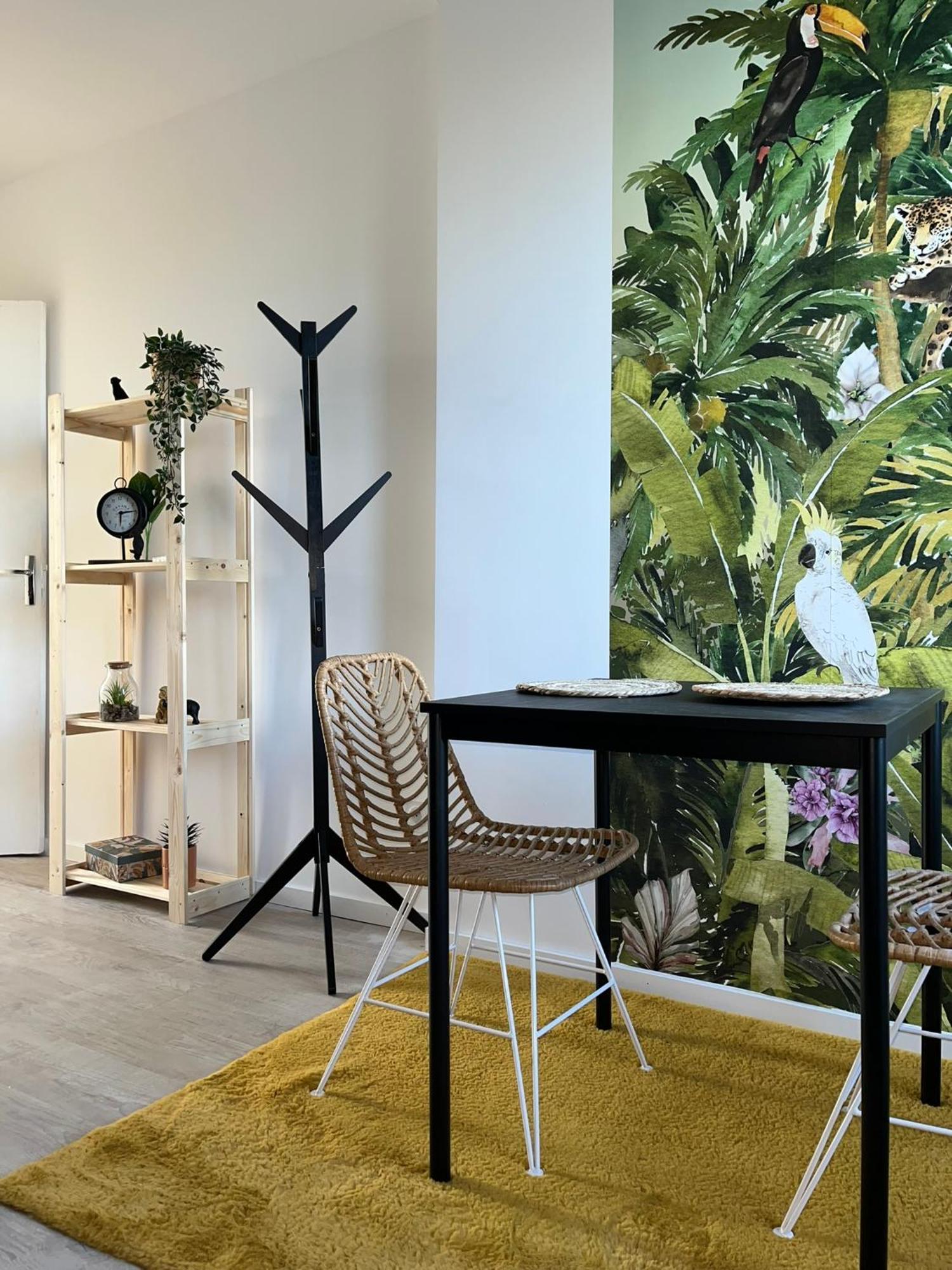 Studio Tropical , Vierzon , Proche Gare , Tout Confort エクステリア 写真